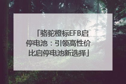 骆驼橙标EFB启停电池：引领高性价比启停电池新选择