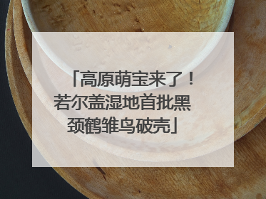 高原萌宝来了！若尔盖湿地首批黑颈鹤雏鸟破壳