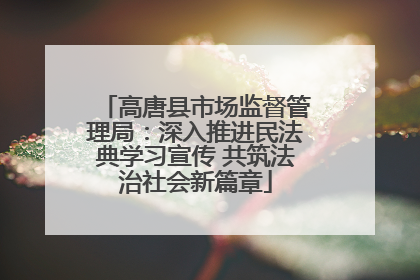 高唐县市场监督管理局：深入推进民法典学习宣传 共筑法治社会新篇章