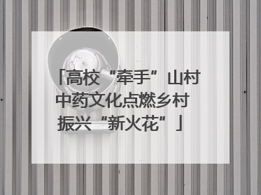 高校“牵手”山村 中药文化点燃乡村振兴“新火花”