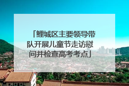 鲤城区主要领导带队开展儿童节走访慰问并检查高考考点