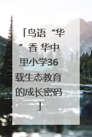 鸟语“华”香 华中里小学36载生态教育的成长密码