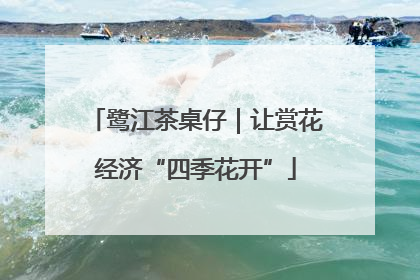 鹭江茶桌仔｜让赏花经济“四季花开”