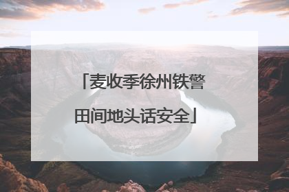 麦收季徐州铁警田间地头话安全
