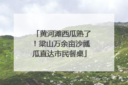 黄河滩西瓜熟了！梁山万余亩沙瓤瓜直达市民餐桌