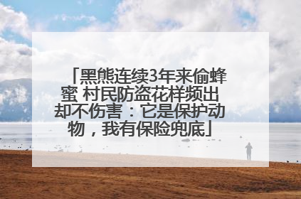 黑熊连续3年来偷蜂蜜 村民防盗花样频出却不伤害：它是保护动物，我有保险兜底