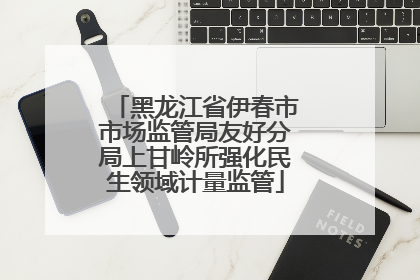 黑龙江省伊春市市场监管局友好分局上甘岭所强化民生领域计量监管