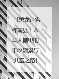 黑龙江省桦南县：木耳大棚里的丰收盛景与共富之路