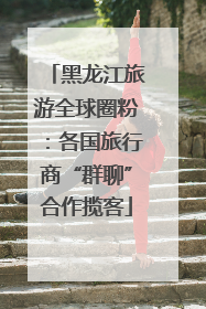 黑龙江旅游全球圈粉：各国旅行商“群聊”合作揽客