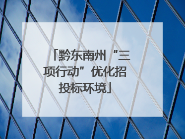 黔东南州“三项行动”优化招投标环境