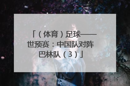 （体育）足球——世预赛：中国队对阵巴林队（3）