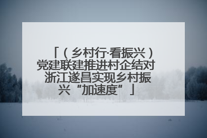 （乡村行·看振兴）党建联建推进村企结对 浙江遂昌实现乡村振兴“加速度”