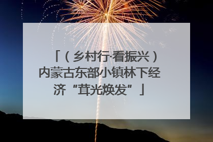 （乡村行·看振兴）内蒙古东部小镇林下经济“茸光焕发”