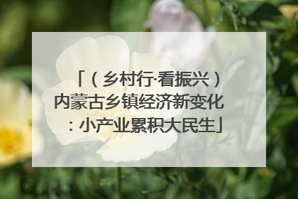 （乡村行·看振兴）内蒙古乡镇经济新变化：小产业累积大民生