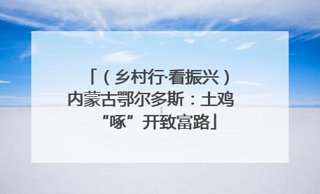 （乡村行·看振兴）内蒙古鄂尔多斯：土鸡“啄”开致富路