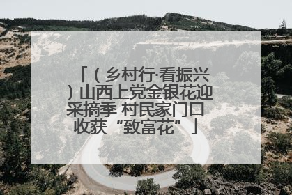 （乡村行·看振兴）山西上党金银花迎采摘季 村民家门口收获“致富花”