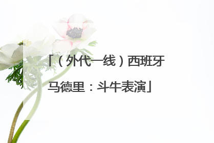 （外代一线）西班牙马德里：斗牛表演