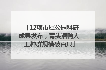 12项市属公园科研成果发布，青头潜鸭人工种群规模破百只
