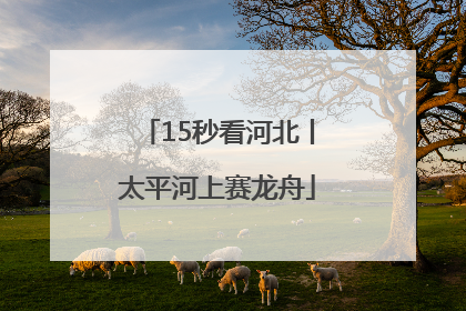 15秒看河北丨太平河上赛龙舟