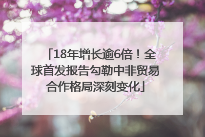 18年增长逾6倍！全球首发报告勾勒中非贸易合作格局深刻变化