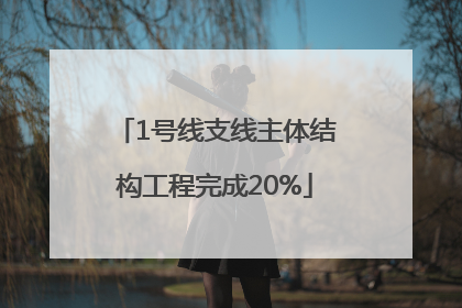 1号线支线主体结构工程完成20%