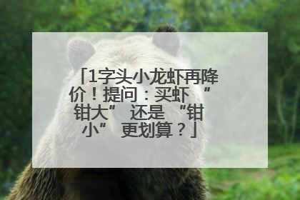 1字头小龙虾再降价！提问：买虾 “钳大” 还是 “钳小” 更划算？
