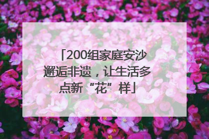 200组家庭安沙邂逅非遗，让生活多点新“花”样