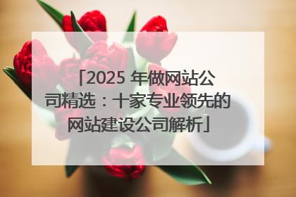 2025 年做网站公司精选：十家专业领先的网站建设公司解析