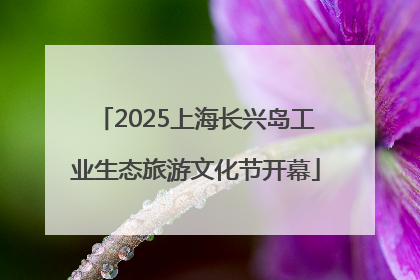 2025上海长兴岛工业生态旅游文化节开幕