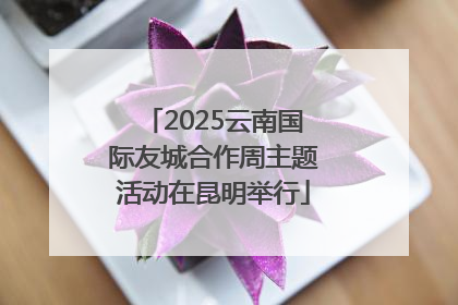 2025云南国际友城合作周主题活动在昆明举行