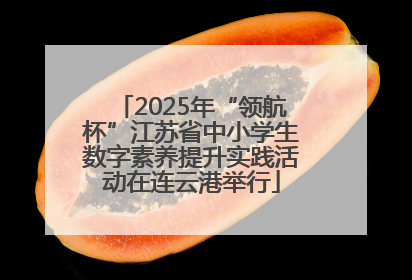 2025年“领航杯”江苏省中小学生数字素养提升实践活动在连云港举行