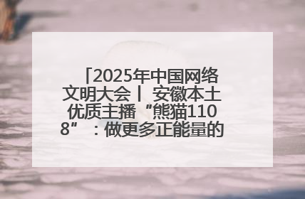 2025年中国网络文明大会丨 安徽本土优质主播“熊猫1108”：做更多正能量的事情 带给大家快乐