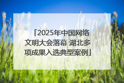 2025年中国网络文明大会落幕 湖北多项成果入选典型案例