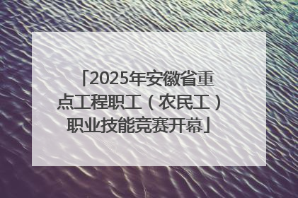 2025年安徽省重点工程职工（农民工）职业技能竞赛开幕