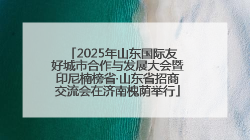 2025年山东国际友好城市合作与发展大会暨印尼楠榜省·山东省招商交流会在济南槐荫举行