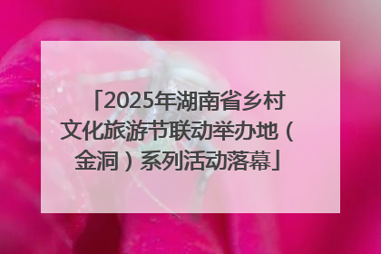 2025年湖南省乡村文化旅游节联动举办地（金洞）系列活动落幕