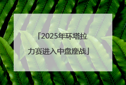 2025年环塔拉力赛进入中盘鏖战
