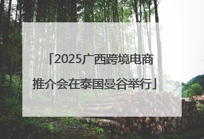 2025广西跨境电商推介会在泰国曼谷举行