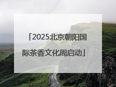 2025北京朝阳国际茶香文化周启动