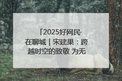 2025好网民·在聊城｜宋建果：跨越时空的致敬 为无名烈士“正名”