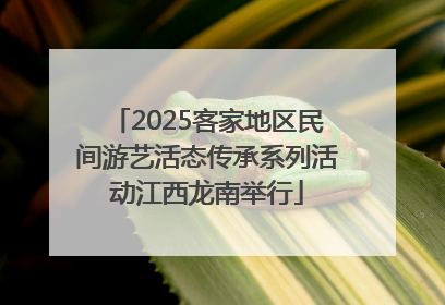 2025客家地区民间游艺活态传承系列活动江西龙南举行