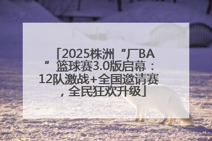 2025株洲“厂BA”篮球赛3.0版启幕：12队激战+全国邀请赛，全民狂欢升级