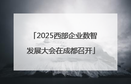 2025西部企业数智发展大会在成都召开