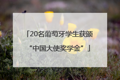 20名葡萄牙学生获颁“中国大使奖学金”