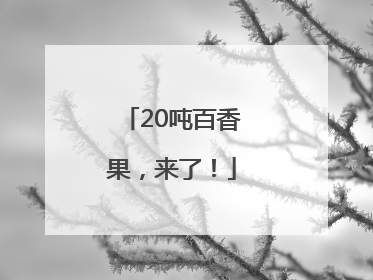 20吨百香果，来了！