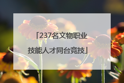 237名文物职业技能人才同台竞技