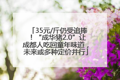 35元/斤仍受追捧！“成华猪2.0”让成都人吃回童年味道，未来或多种定价并行