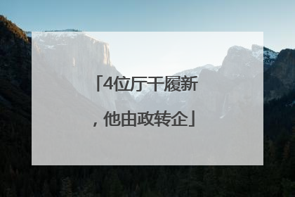 4位厅干履新，他由政转企