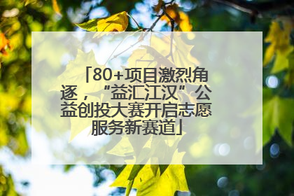 80+项目激烈角逐，“益汇江汉”公益创投大赛开启志愿服务新赛道