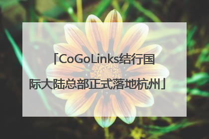 CoGoLinks结行国际大陆总部正式落地杭州